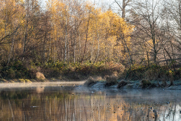 thin layer of fog on top of the surface of the pond inside park on a cold winter morning