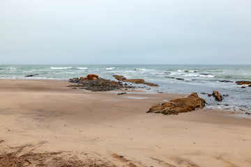 Cape fur Seal colony at Cape Cross, Namibia, breading season.