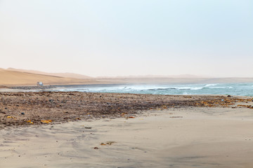 Cape fur Seal colony at Cape Cross, Namibia, breading season.
