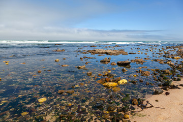 Cape fur Seal colony at Cape Cross, Namibia, breading season.