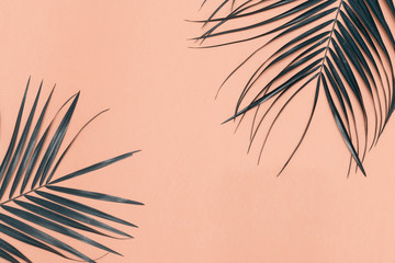 Fototapeta na wymiar palm tree leaf pattern background