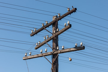 old wooden power line pole