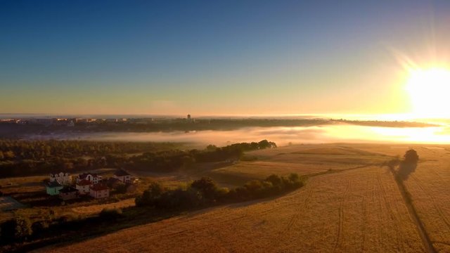 Panning drone flight along the field at foggy morning. FullHD 1080p.