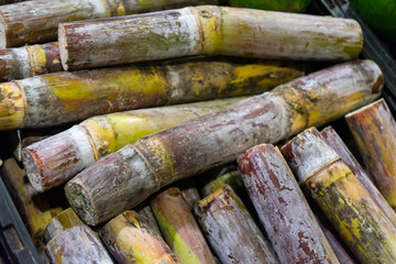 Sugar cane in the market