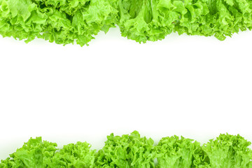 Lettuce leaf isolated on white background with copy space for your text. Set or collection