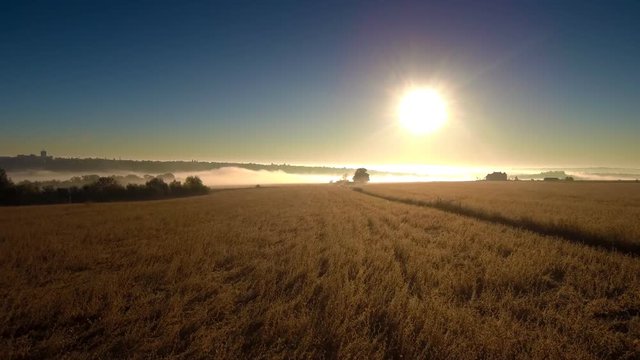 Drone flight over the field and dirt road at foggy morning. FullHD 1080p.