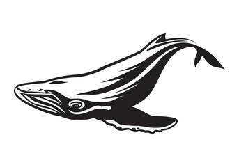 graphic Humpback whale