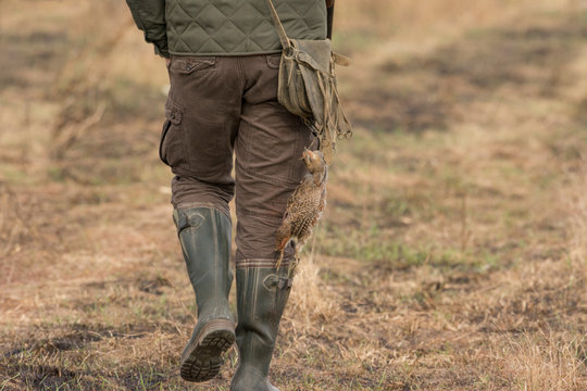 The hunter in the hunting clothes and with rifle hunts