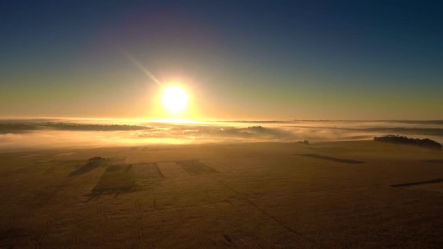 Backward drone flight over the field at foggy morning. FullHD 1080p.