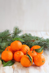 Fototapeta na wymiar still life with few tangerines and fir branches. close up, soft focus