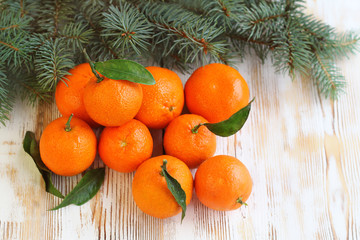 Fototapeta na wymiar still life with few tangerines and fir branches. close up, soft focus