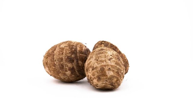 Two taro tubers and one half cut root. Rotating on the turntable. Isolated on the white background. Close-up. Macro.