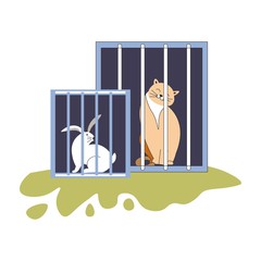 Animal shelter kitty and bunny sitting in cages