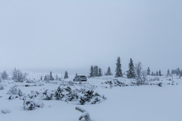 winter landscape with trees and snow