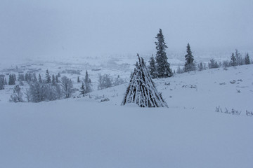 winter landscape with trees and snow
