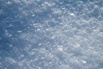 Obraz premium Snow in winter close-up. Macro image of snowflakes, winter background.