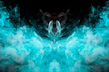 A multi-colored pattern of green smoke of a mystical shape in the form of a face and a ghost's head or a strange creature on a black isolated background. Abstract pattern in of waves and steam