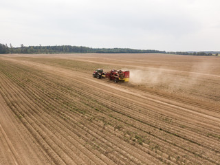 Aerial photo of the harvest in the field, the tractor rides through the field and gathers the crop