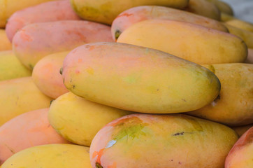 A group of mango in the market.