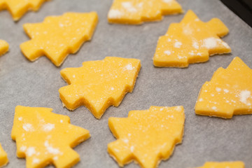 The process of baking cookies at home. Raw dough for christmas cookies for children, making gingerbread close-up.