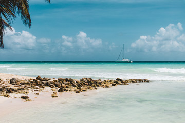 Obraz premium Saona Island near Punta Cana, Dominican Republic