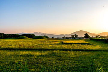Fototapeta na wymiar landscape with wheat field and blue sky in Gyeongju tombs