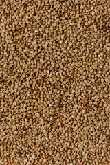 buckwheat scattered on the background