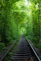 railway in the forest