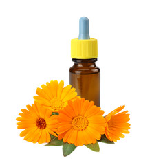 bottle with marigold oil with marigold flowers isolated on white background. calendula flower.