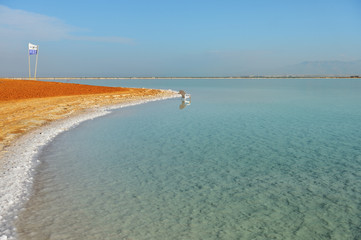 Dead Sea seashore in the morning in sunny weather