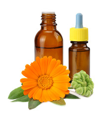 bottle with marigold oil with marigold flowers isolated on white background. calendula flower.
