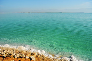 Fototapeta na wymiar Dead Sea seashore in the morning in sunny weather