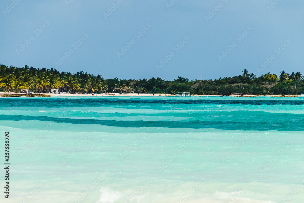 Canvas Prints saona island near punta cana, dominican republic