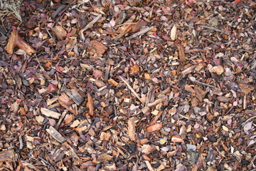 Rindenmulch im Garten