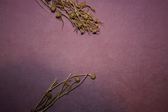 Dried Harmal  background