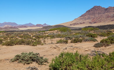 Damaraland, Namibia, a vast semi desert arid region in Namibia.