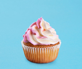 Cupcake on a blue background.