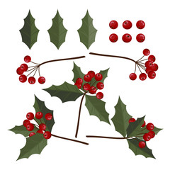Christmas elements with set of holly leaves and berries.