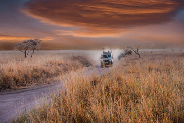 A game drive safari in Serengeti National Park,Tanzania,Africa.