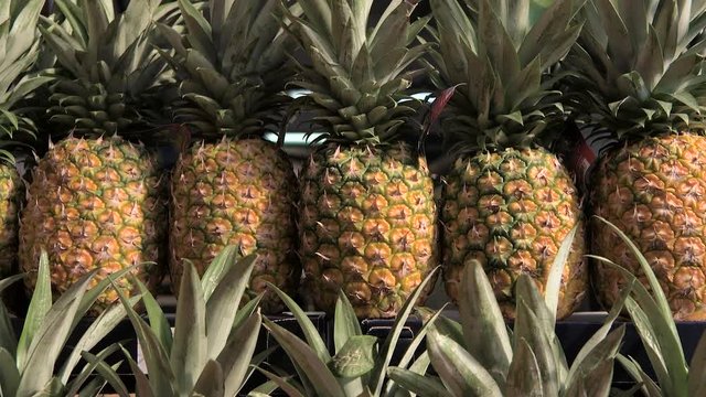 Large mature pineapples on the market