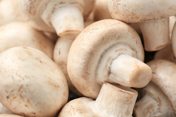 Fresh mushrooms, closeup