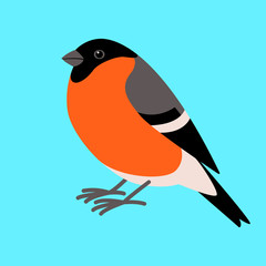 bullfinch bird , flat style ,profile
