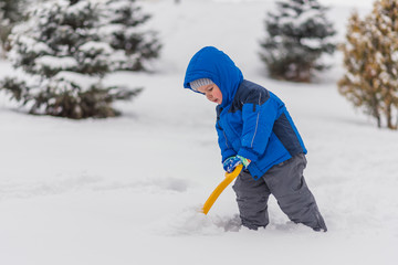 Fototapeta na wymiar A little boy is digging snow with a shovel in the winter.