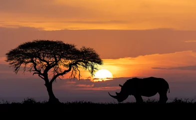 Poster Afrika wildlife en wildernis concept © ArtushFoto