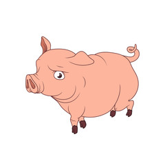 Big pink pig with curled tail, walking