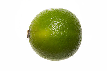 WHOLE FRESH LIME ISOLATED ON WHITE BACKGROUND