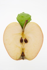 GREEN APPLE SLICED IN HALF ON WHITE BACKGROUND