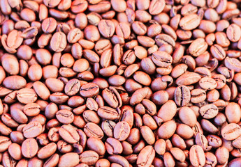 Coffee beans brown background with copy space for text