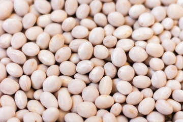 White beans background (Phaseolus) – food for veggies