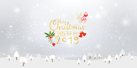 Fototapeta na wymiar Merry Christmas and Happy New Year 2019 calligraphic Xmas ornaments with winter snow background.